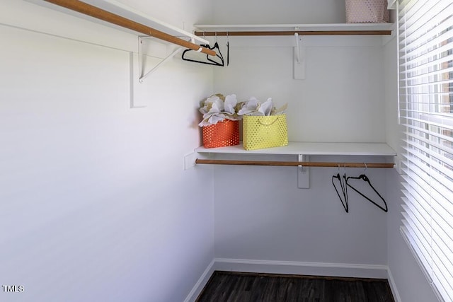 spacious closet featuring wood finished floors