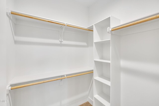 617 Ray St, Selma, NC 27576 - view of walk in closet