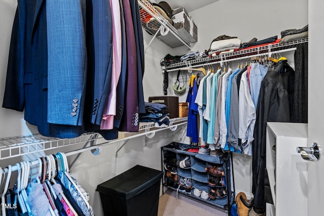 view of spacious closet