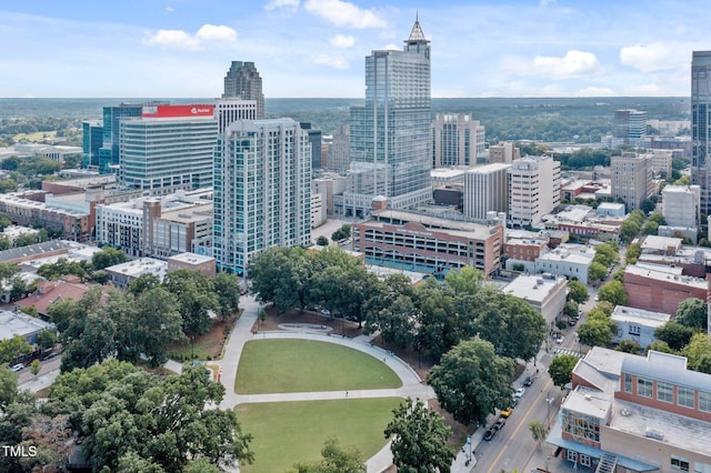 618 N Boylan Ave Unit 810, Raleigh, NC 27603 - view of city