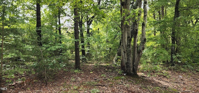 TBD Mill Creek Rd, Cedar Grove, NC 27231