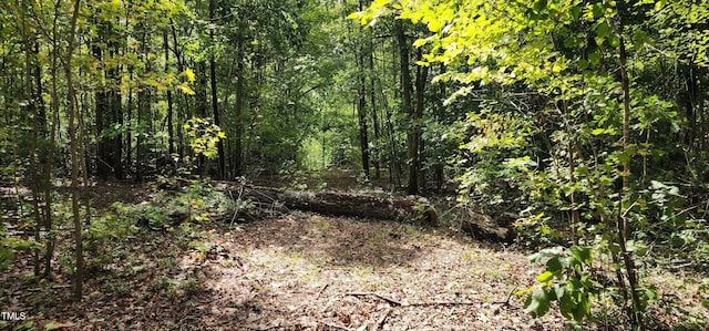 TBD Mill Creek Rd, Cedar Grove, NC 27231