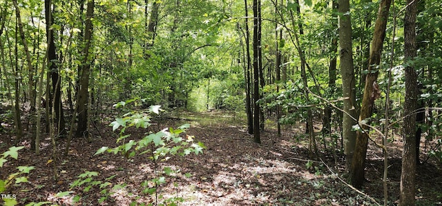 TBD Mill Creek Rd, Cedar Grove, NC 27231