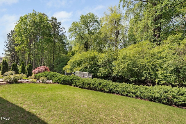 view of yard