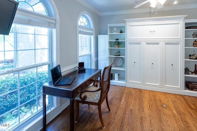 office space featuring crown molding, light wood finished floors, and ceiling fan