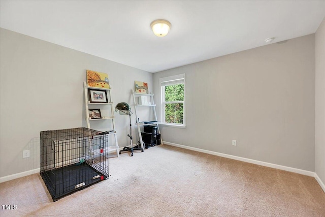 108 Princess Pl, Morrisville, NC 27560 - carpeted home office with baseboards