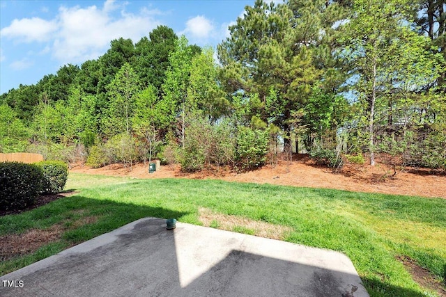 108 Princess Pl, Morrisville, NC 27560 - view of yard with a patio area