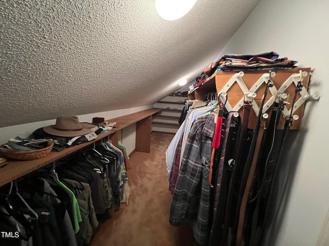106 Orchard Rd, Henderson, NC 27536 - walk in closet with carpet floors