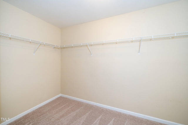 spacious closet featuring light colored carpet