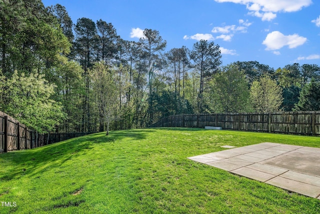 view of yard featuring a patio and a fenced backyard