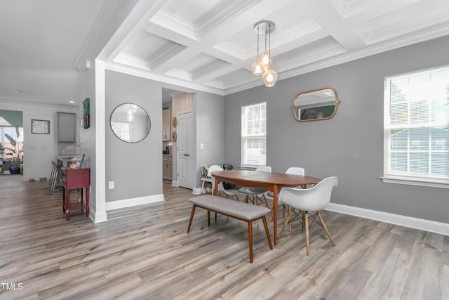 dining room with baseboards, light wood-type flooring, and a healthy amount of sunlight