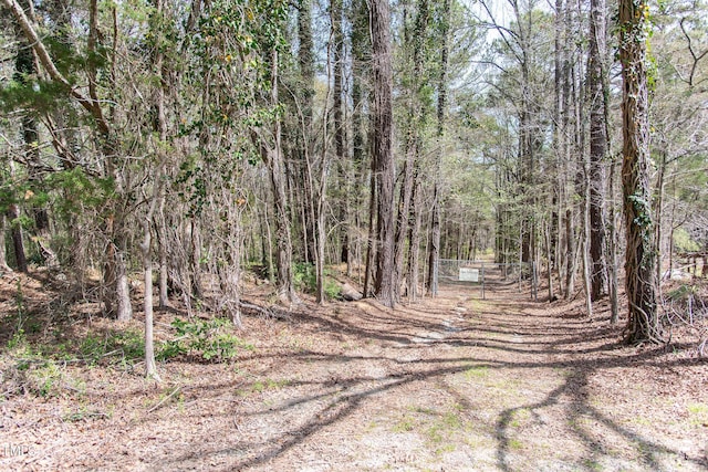 1556 Pleasants Rd, Wendell, NC 27591 - view of local wilderness with a wooded view