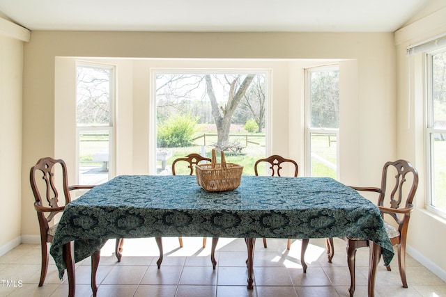 1556 Pleasants Rd, Wendell, NC 27591 - dining area featuring a wealth of natural light, baseboards, and light tile patterned flooring