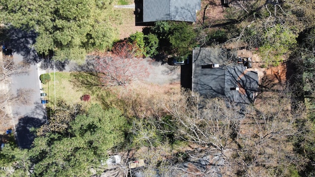 4025 Greenleaf St, Raleigh, NC 27606