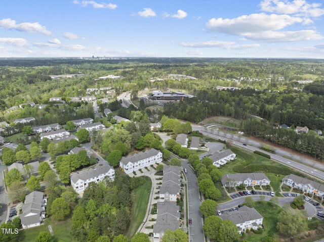 bird's eye view