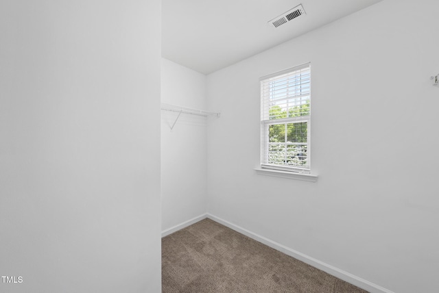 spacious closet featuring carpet and visible vents