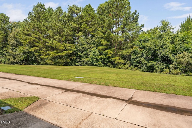 4210 Brynwood Ave, Durham, NC 27713 - photo 31