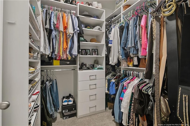 spacious closet featuring carpet flooring