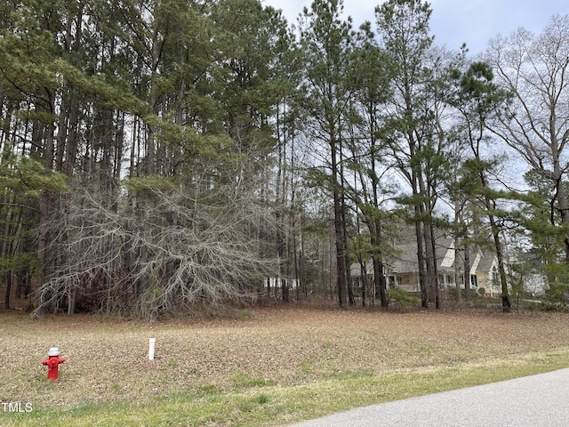 660 Cross Link Dr, Angier, NC 27501 - photo 3