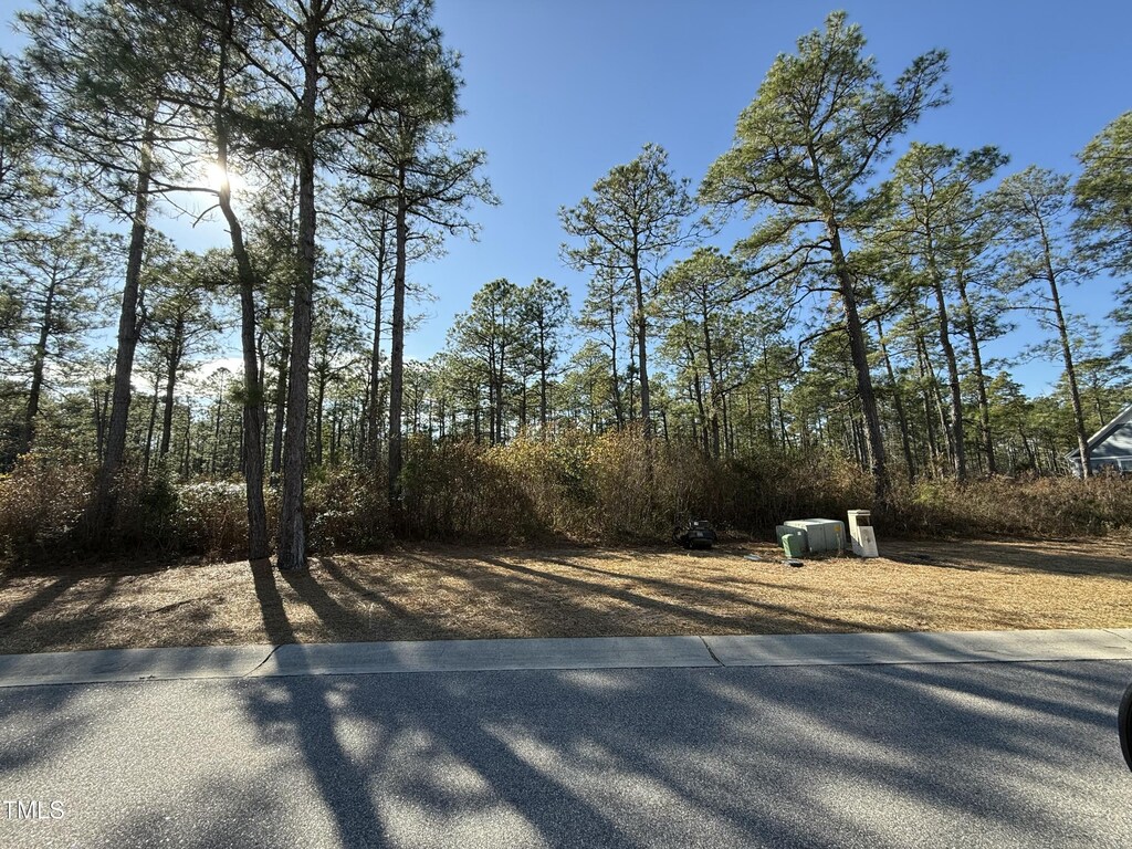 3720 Friendly Orange Ct NE, Leland, NC 28451 - photo 1