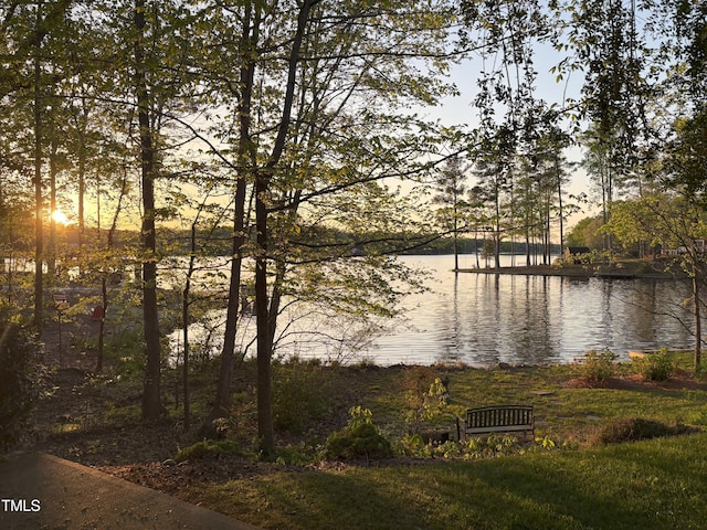 955 Sagamore Dr, Louisburg, NC 27549 - water view