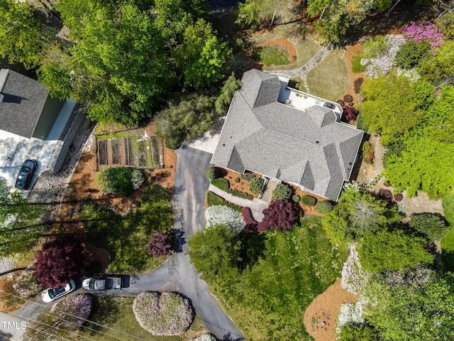 955 Sagamore Dr, Louisburg, NC 27549 - bird's eye view
