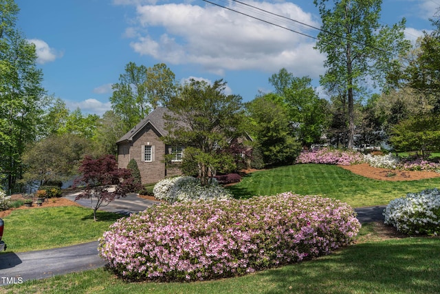 955 Sagamore Dr, Louisburg, NC 27549 - view of yard
