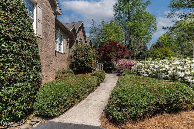 955 Sagamore Dr, Louisburg, NC 27549 - view of yard