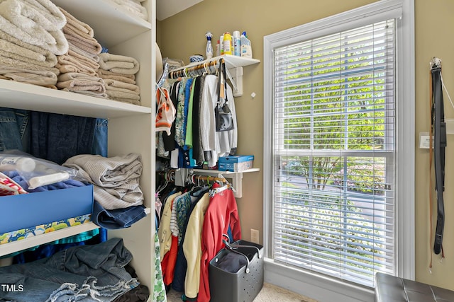 955 Sagamore Dr, Louisburg, NC 27549 - view of spacious closet