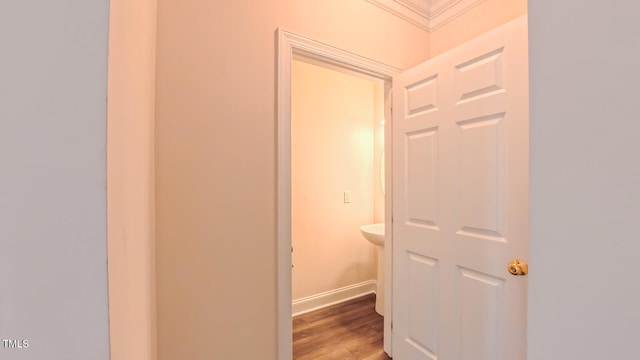 9531 Vira Dr, Raleigh, NC 27617 - photo 9