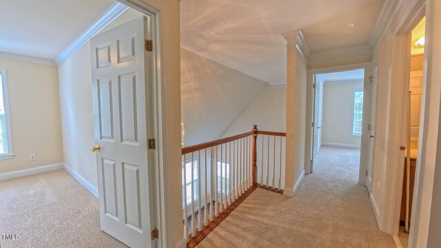 9531 Vira Dr, Raleigh, NC 27617 - photo 24