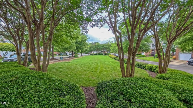 9531 Vira Dr, Raleigh, NC 27617 - photo 30