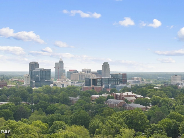 view of city