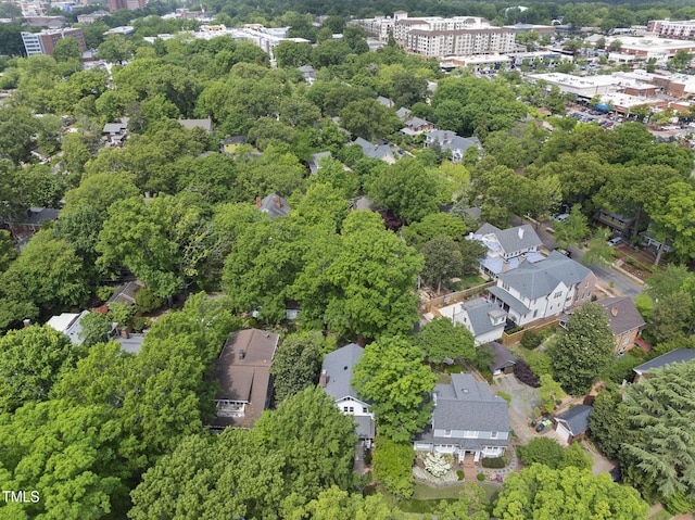 bird's eye view