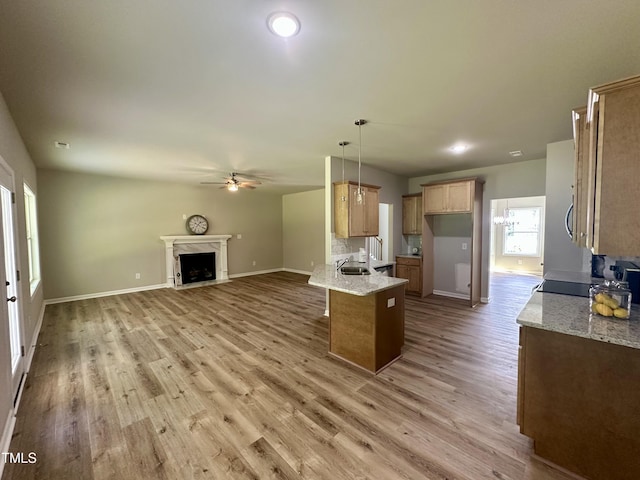 437 Earnest Way, Kenly, NC 27542 - photo 11