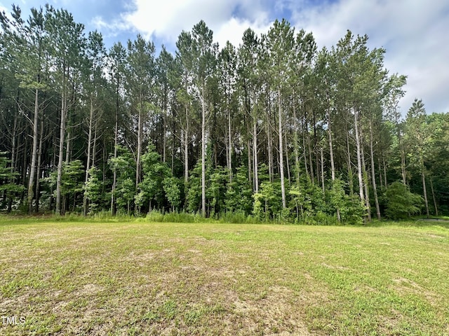 437 Earnest Way, Kenly, NC 27542 - photo 34