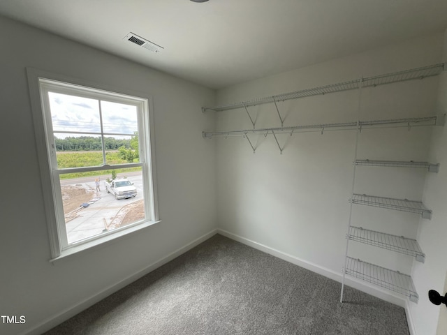 1387 Stoney Creek Church Rd, Goldsboro, NC 27534 - spacious closet with carpet flooring