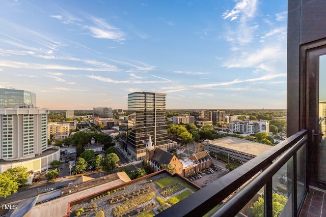 122 N Harrington St Unit 1555, Raleigh, NC 27603 - photo 60