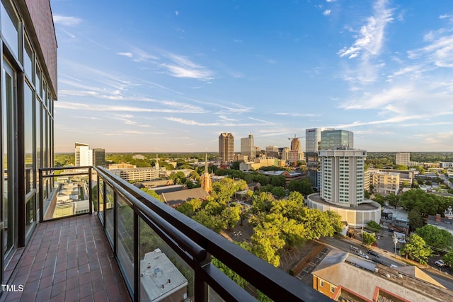 122 N Harrington St Unit 1555, Raleigh, NC 27603 - photo 61