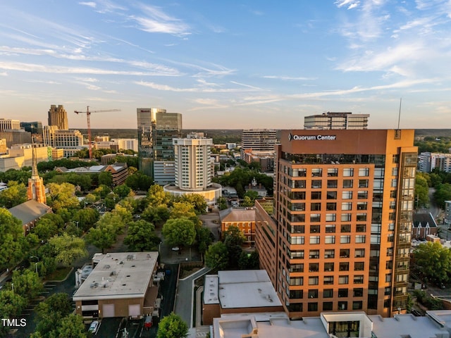 122 N Harrington St Unit 1555, Raleigh, NC 27603 - photo 86