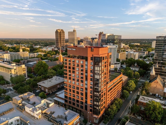 122 N Harrington St Unit 1555, Raleigh, NC 27603 - photo 87