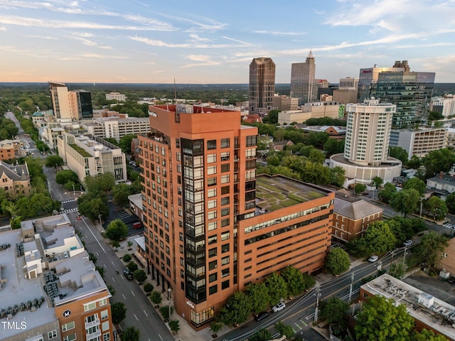 122 N Harrington St Unit 1555, Raleigh, NC 27603 - photo 88