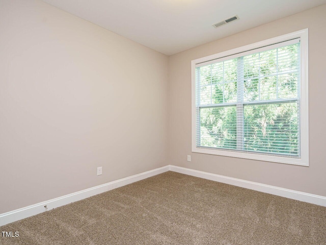 65 N Wilders Ridge Way, Clayton, NC 27527 - empty room with carpet and healthy amount of natural light