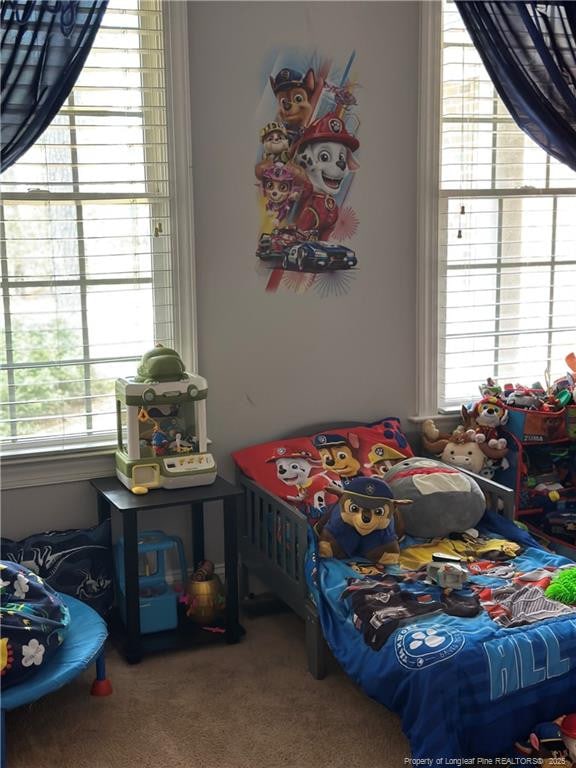 carpeted bedroom with multiple windows