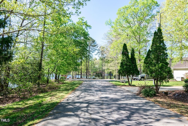 150 Big Horn Cv, Louisburg, NC 27549 - photo 37