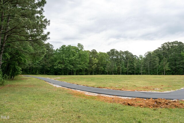 150 Big Horn Cv, Louisburg, NC 27549 - photo 44