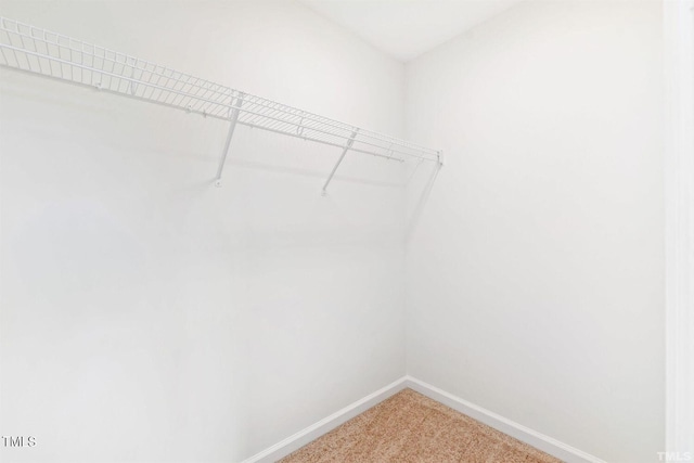 walk in closet featuring light carpet