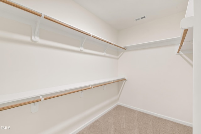 40 Rosewood Ln, Youngsville, NC 27596 - walk in closet with carpet floors