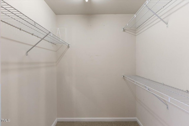walk in closet with carpet floors