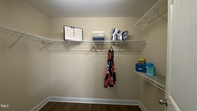 126 Willow Weald Ct, Fuquay Varina, NC 27526 - walk in closet with dark wood-type flooring